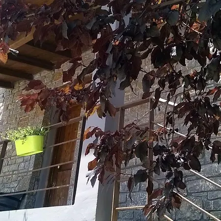 Ξενοδοχείο Apollonion 4*