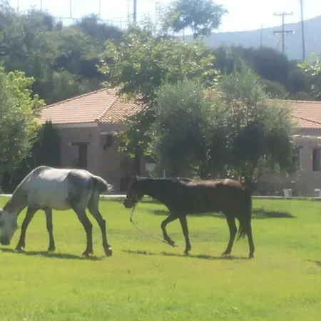 Ξενοδοχείο Apollonion Ανδρίτσαινα