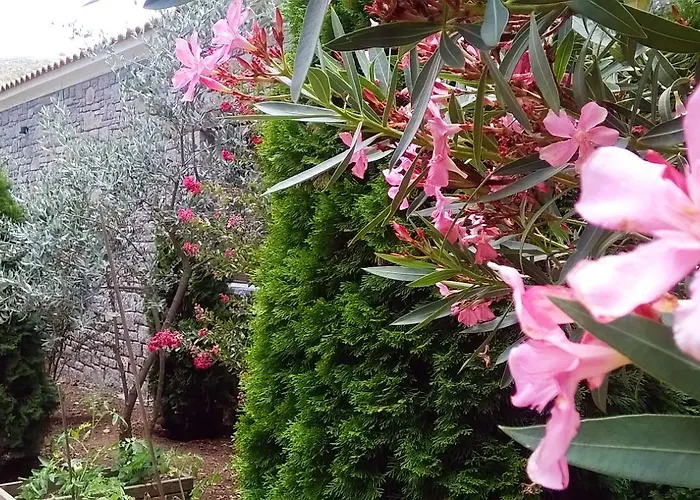 Apollonion Andritsaina