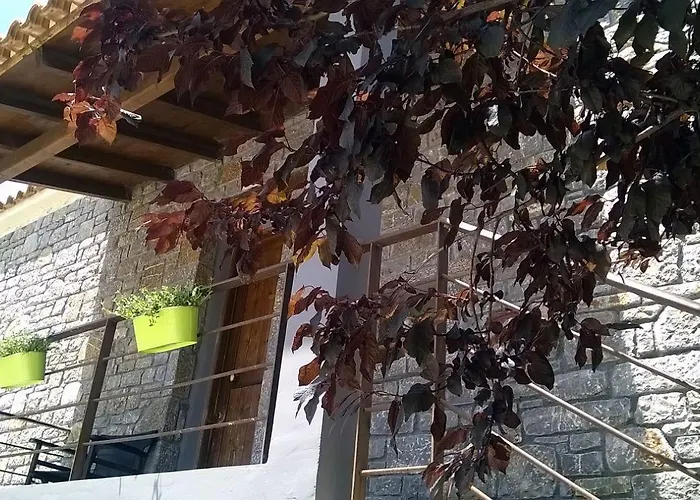 Hotell Apollonion 4*