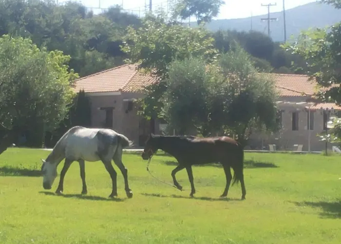 Hotell Apollonion Andritsaina