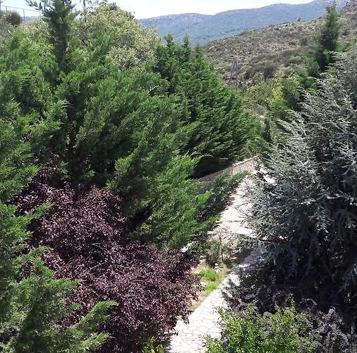 Apollonion Andritsaina